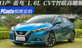 蓝鸟视频,探索视觉盛宴的无限魅力